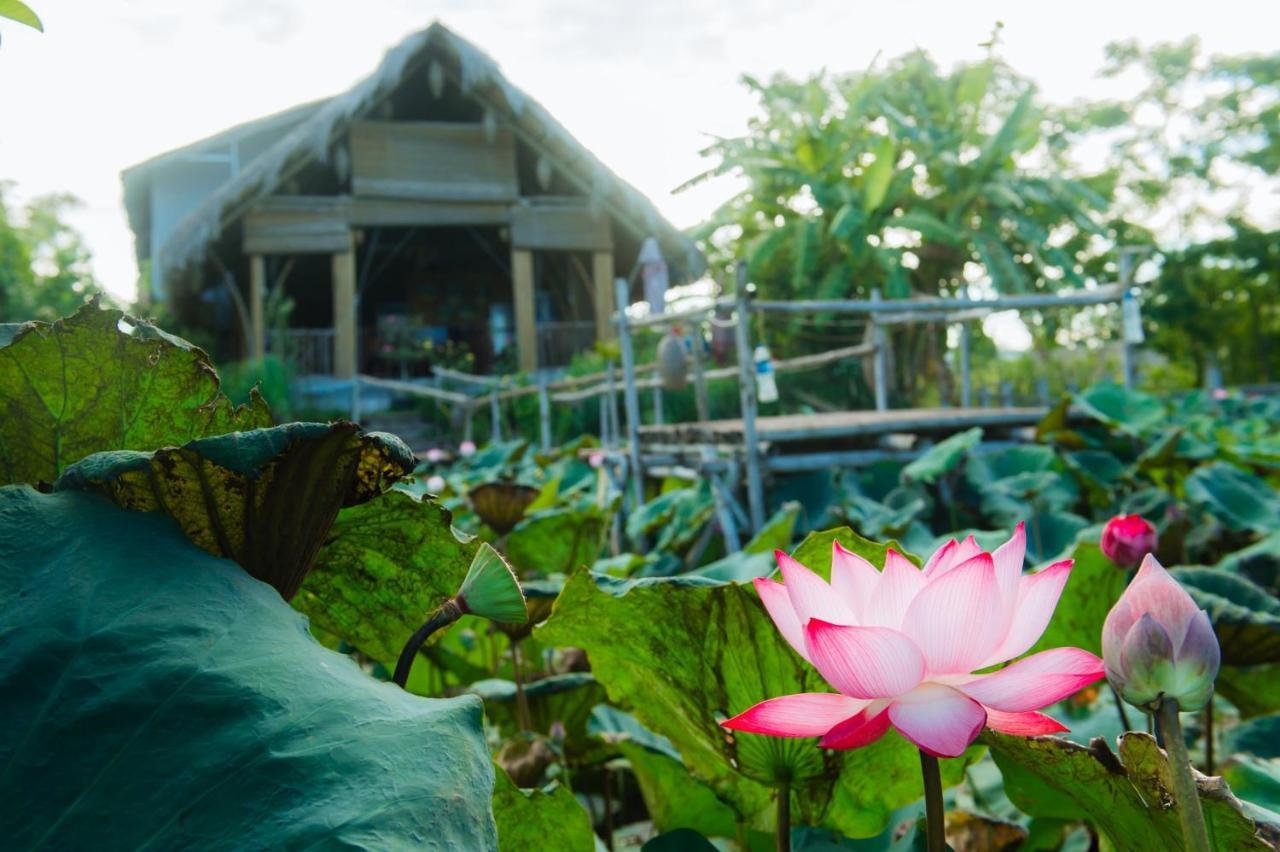 Hotel Nan House - Tam Coc Ninh Binh Zewnętrze zdjęcie