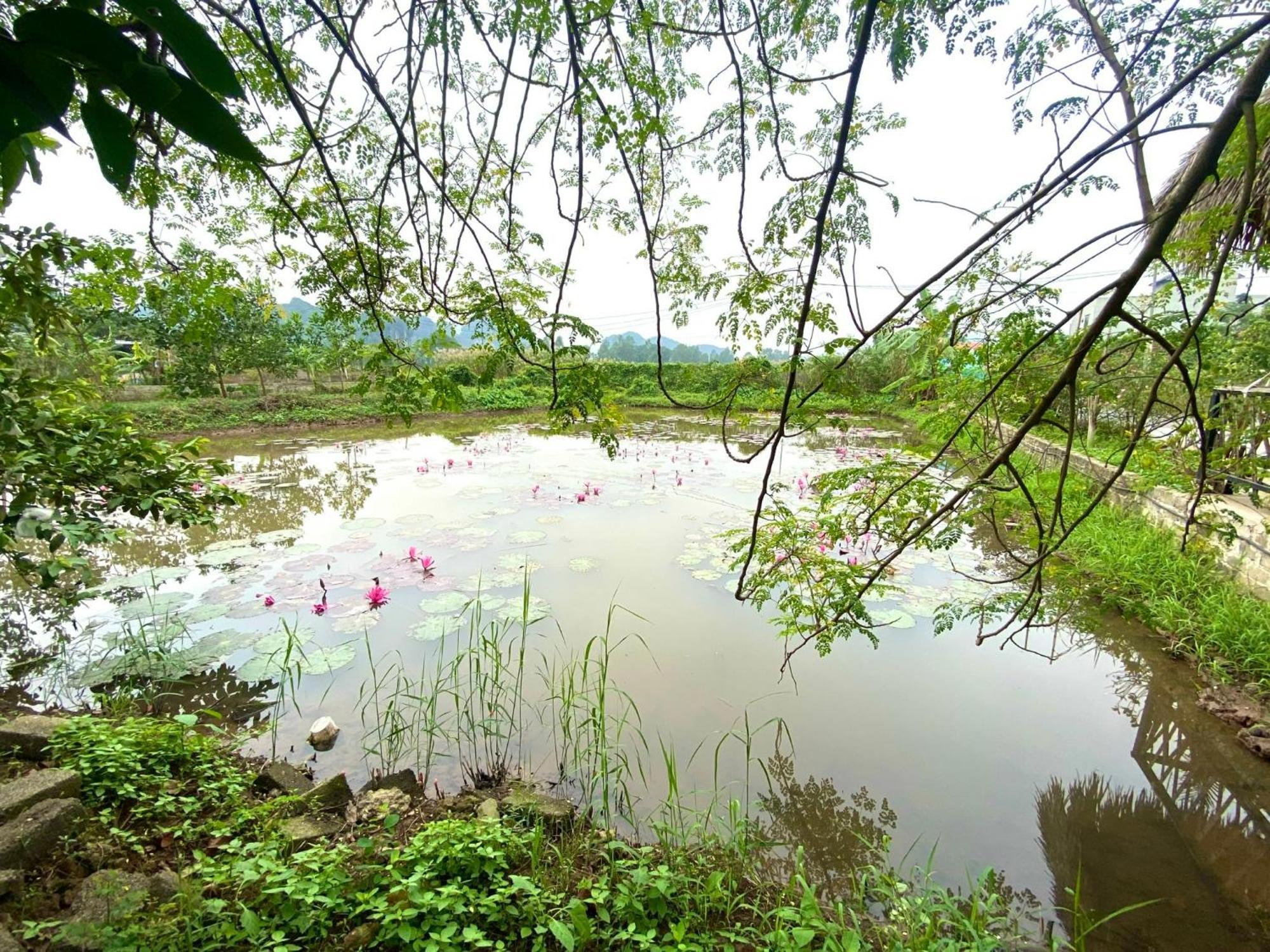 Hotel Nan House - Tam Coc Ninh Binh Zewnętrze zdjęcie