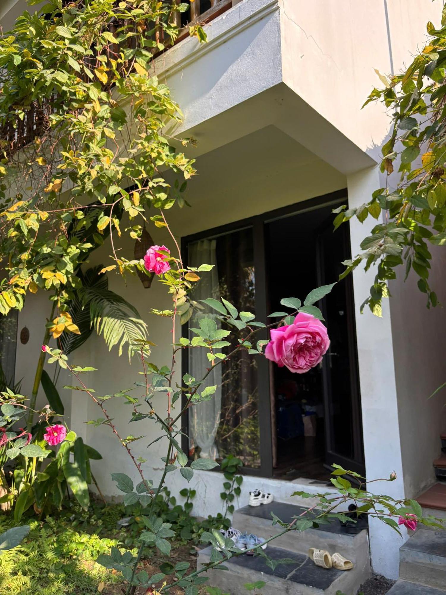 Hotel Nan House - Tam Coc Ninh Binh Zewnętrze zdjęcie